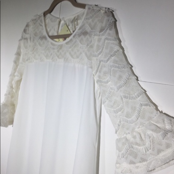 Pink Owl Lined Shift Dress Scallop Lace size S - Picture 6 of 6